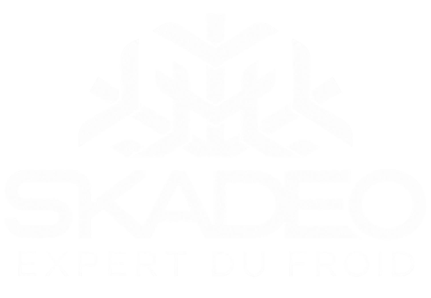 logo skadeo blanc fond transparent